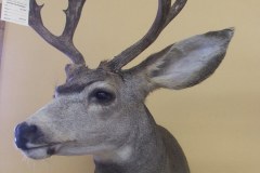 at58